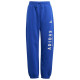 Adidas Παιδικό παντελόνι φόρμας All SZN Graphic Pants